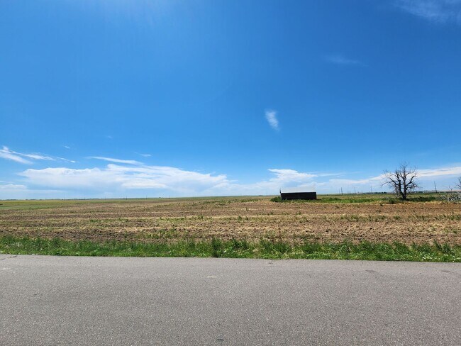 Building Photo - Stunning New Build In Wide Open Bennett!