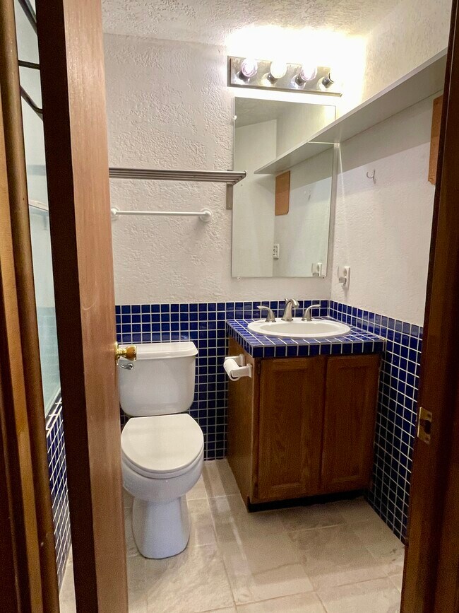 Lower full bath - 501 Teller St