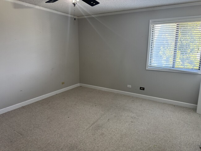 Building Photo - 1078 Manchester Ct