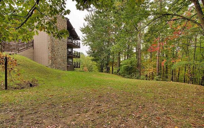 Building Photo - 1081 Cove Rd