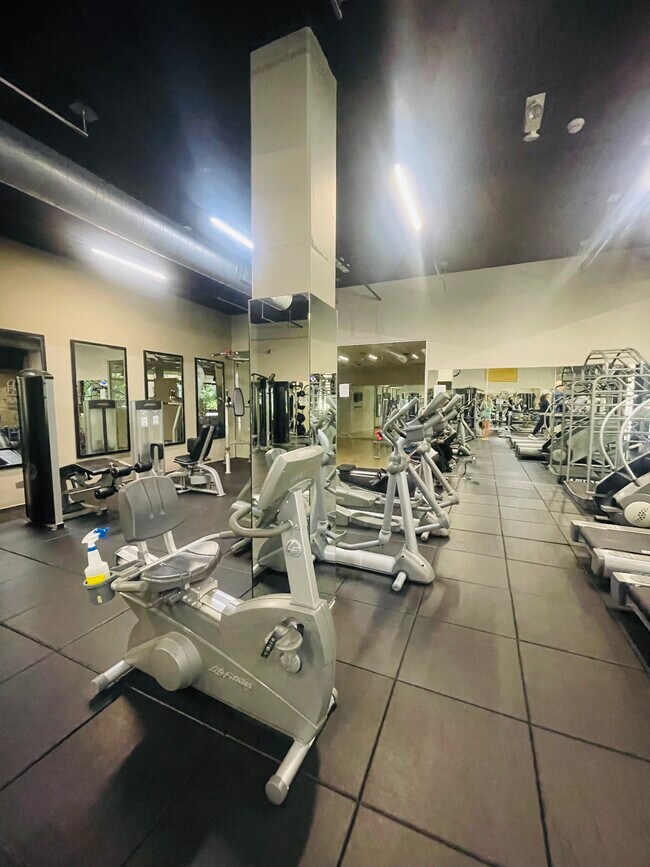 Gym / Cardio Equipment - 133 The Promenade N