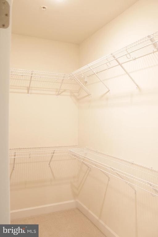 Building Photo - 10417 Ratcliffe Trl