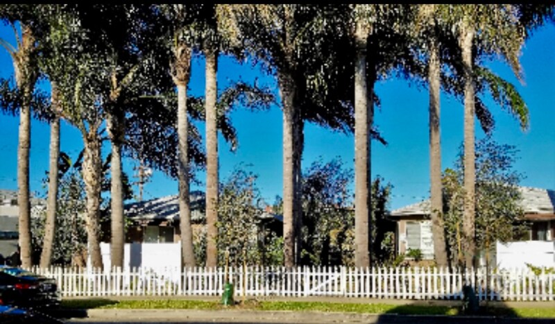 Building Photo - 2226 S Carmelina Ave