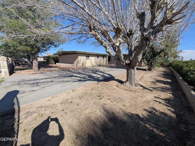 Building Photo - 410 9th St NE