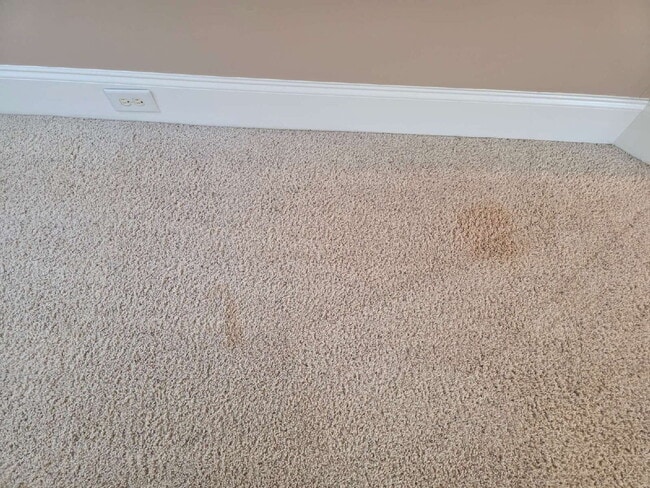 Building Photo - Spacious 4-Bedroom Home for Rent in Kings ...