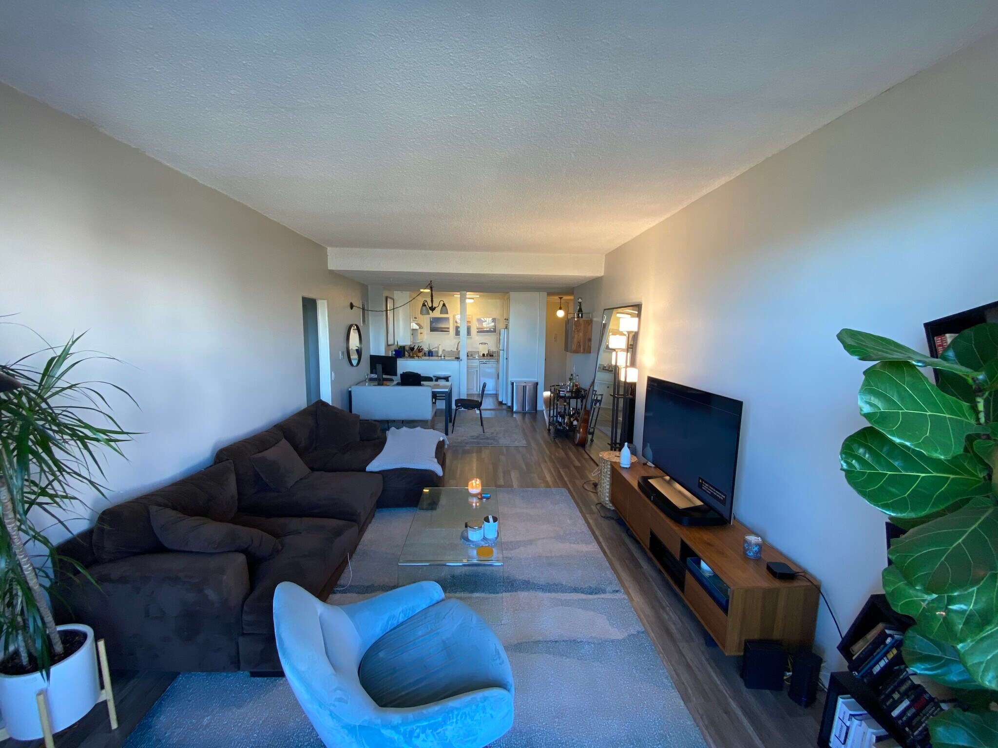 living room - 1342 10th St