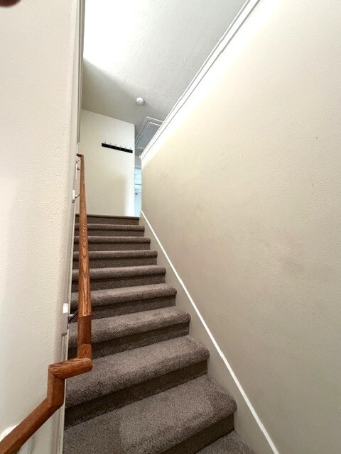 Building Photo - 71 E Stedhill Loop