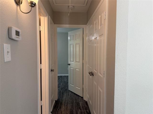 Building Photo - 3332 Navaro St