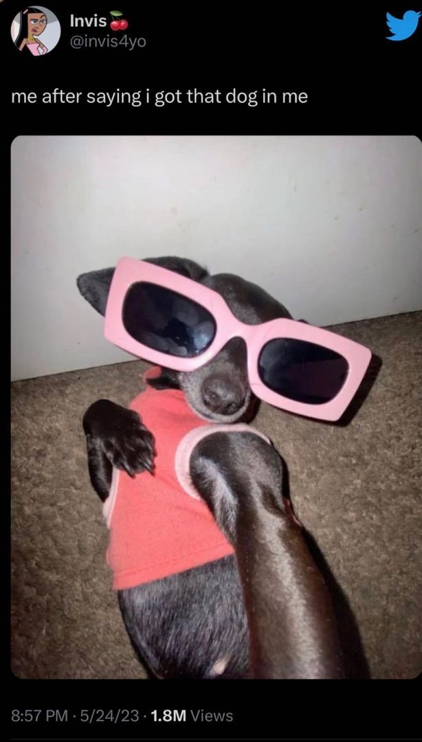 Building Photo - For the Big Dawgs