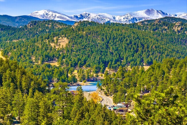 Building Photo - 4475 Forest Trail