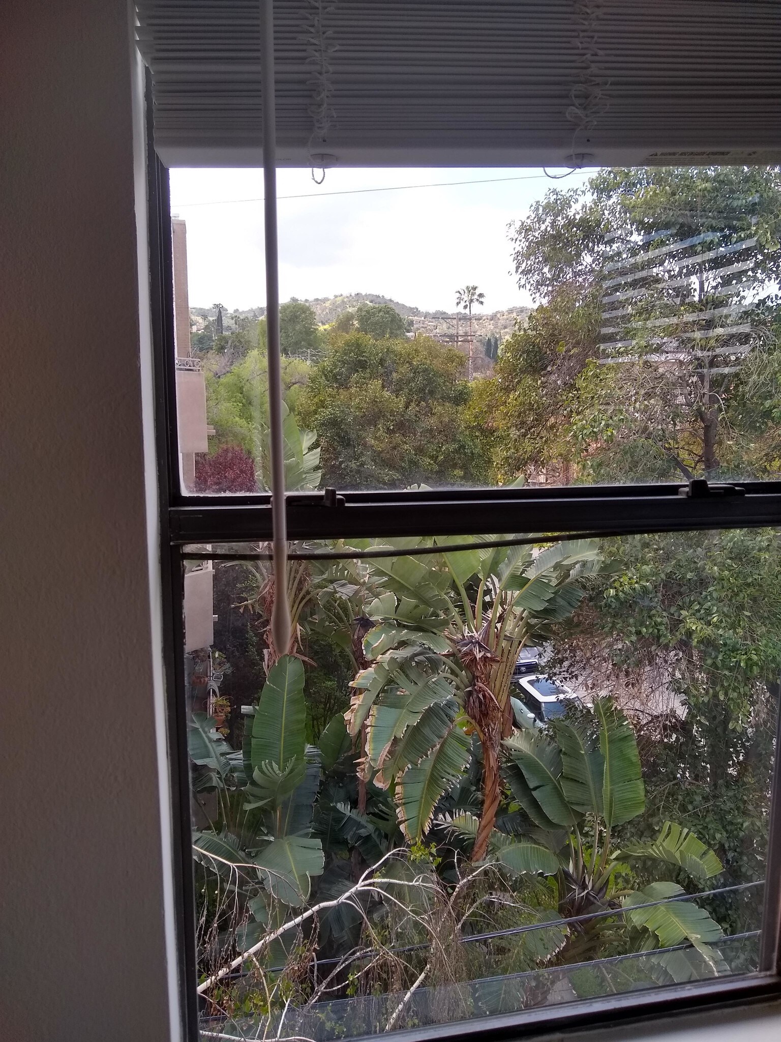 montain view from Living room window - 14572 Dickens St