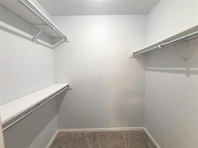 Building Photo - 3101 Wichita Dr