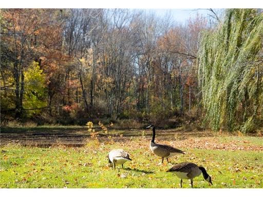 Building Photo - 99 Shadow Ln