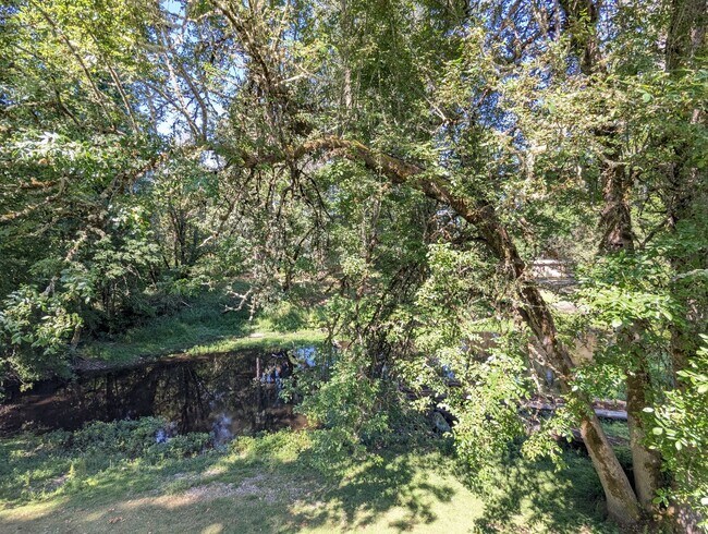 Building Photo - Charming 1 Bedroom Apartment w/ Deck Overl...