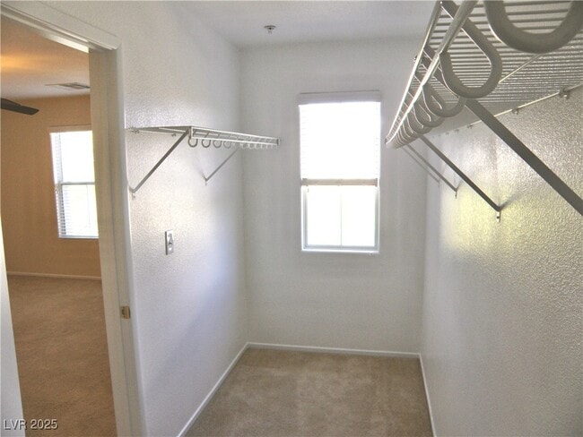 Building Photo - 657 Lucky Pine St