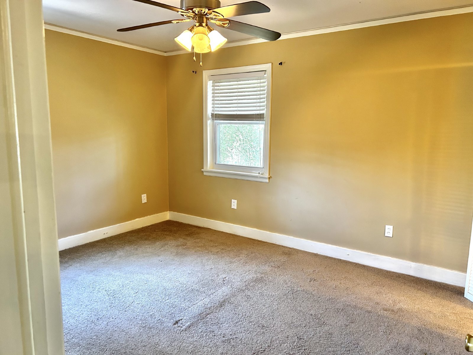 Bedroom 1 - 2919 Henry St
