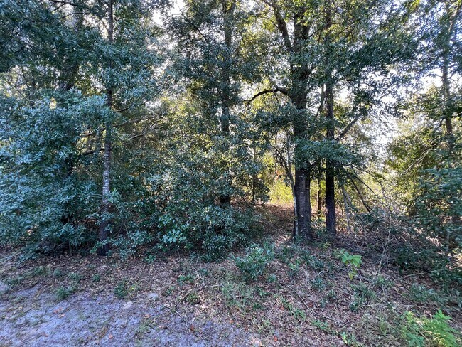 Building Photo - Available now! Lovely 2 Bedroom, 2 Bathroo...