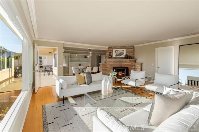 Building Photo - 557 Blumont St