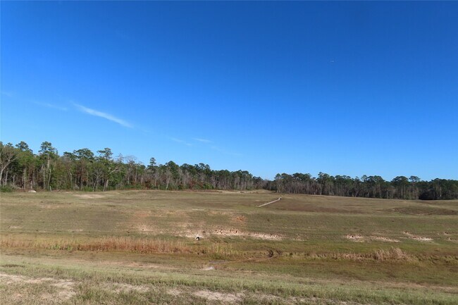 Building Photo - 24438 Elmwood Falls Dr