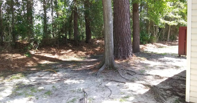 Building Photo - 3126 Tyndall Dr