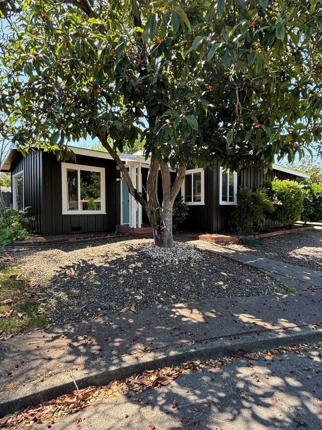 Building Photo - 2 Bedroom 1 Bathroom located in Santa Rosa's Grace Tract Neighborhood