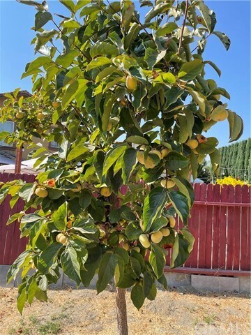 Building Photo - 4280 Jenkins Ln