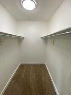 Building Photo - Newly Renovated, 1b/1b in great location