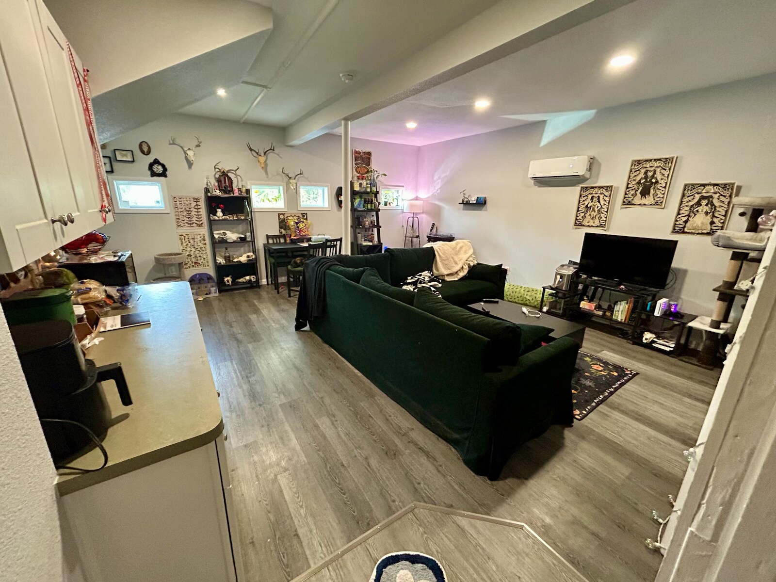 Open Kitchen/Livingroom - 404 Jagoe St