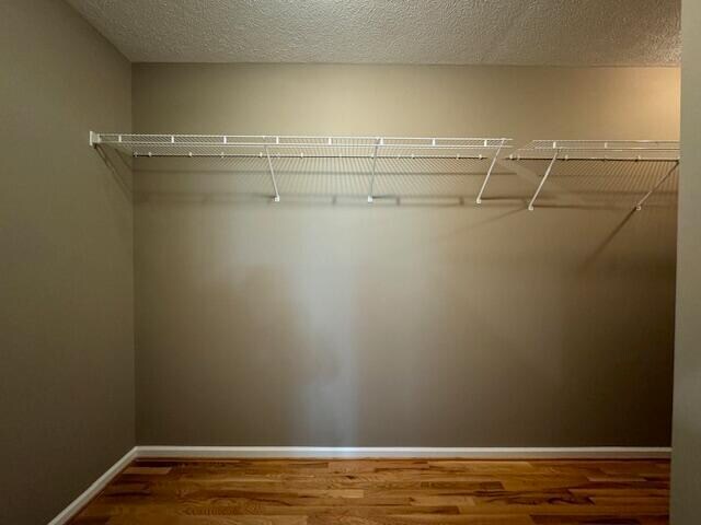 Building Photo - 263 Pine Hollow Dr