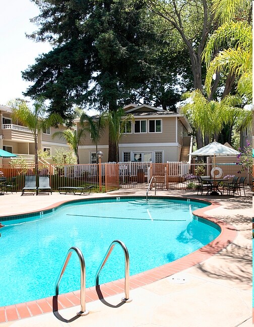 Pool - Laurel Grove Apartments