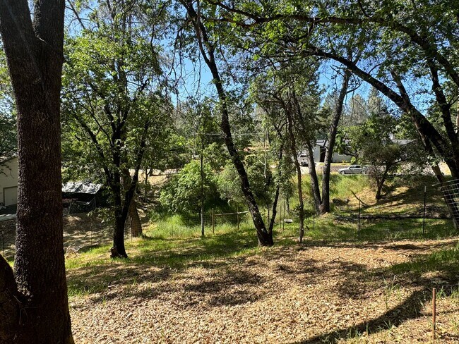 Building Photo - 3 Bedroom 2 Bath Home with Bonus Room larg...