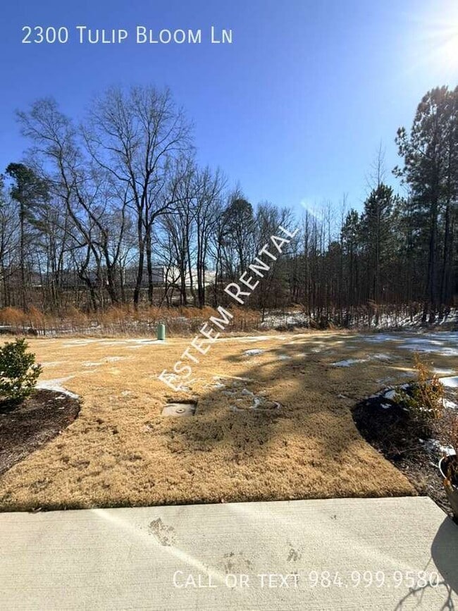 Building Photo - 2300 Tulip Bloom Ln