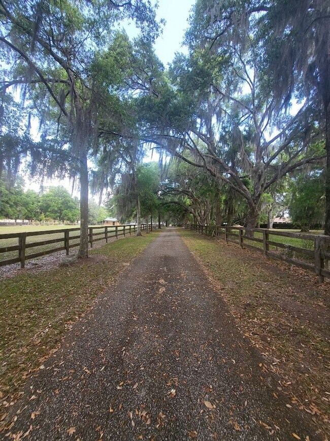 Building Photo - Little Lake Weir Waterfront FENCED 3BR/2BA on 6 Acres with Horse Barn, Private Boat Ramp & Dock