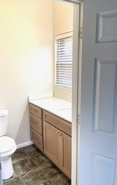 New vanity, commode, countertops & lighting - 4805 Lyons View Pike