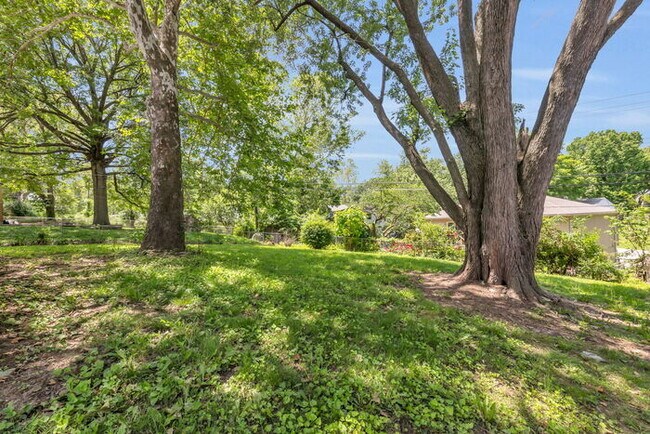 Building Photo - 4 bed, 2 bath, updated interior, AVAILABLE...