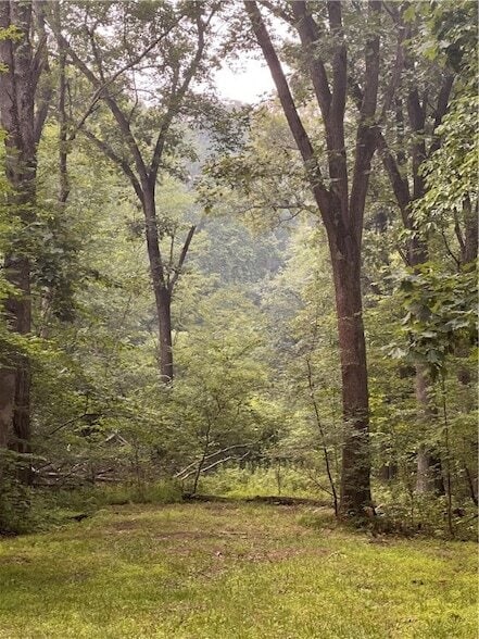 Building Photo - 126 Green Forest Dr