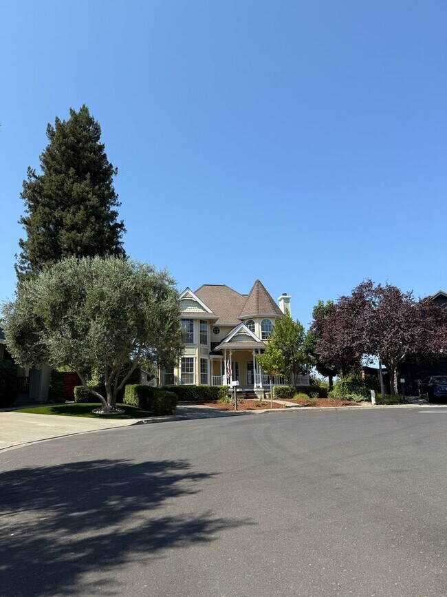 Building Photo - Pet Friendly! Walk to Downtown