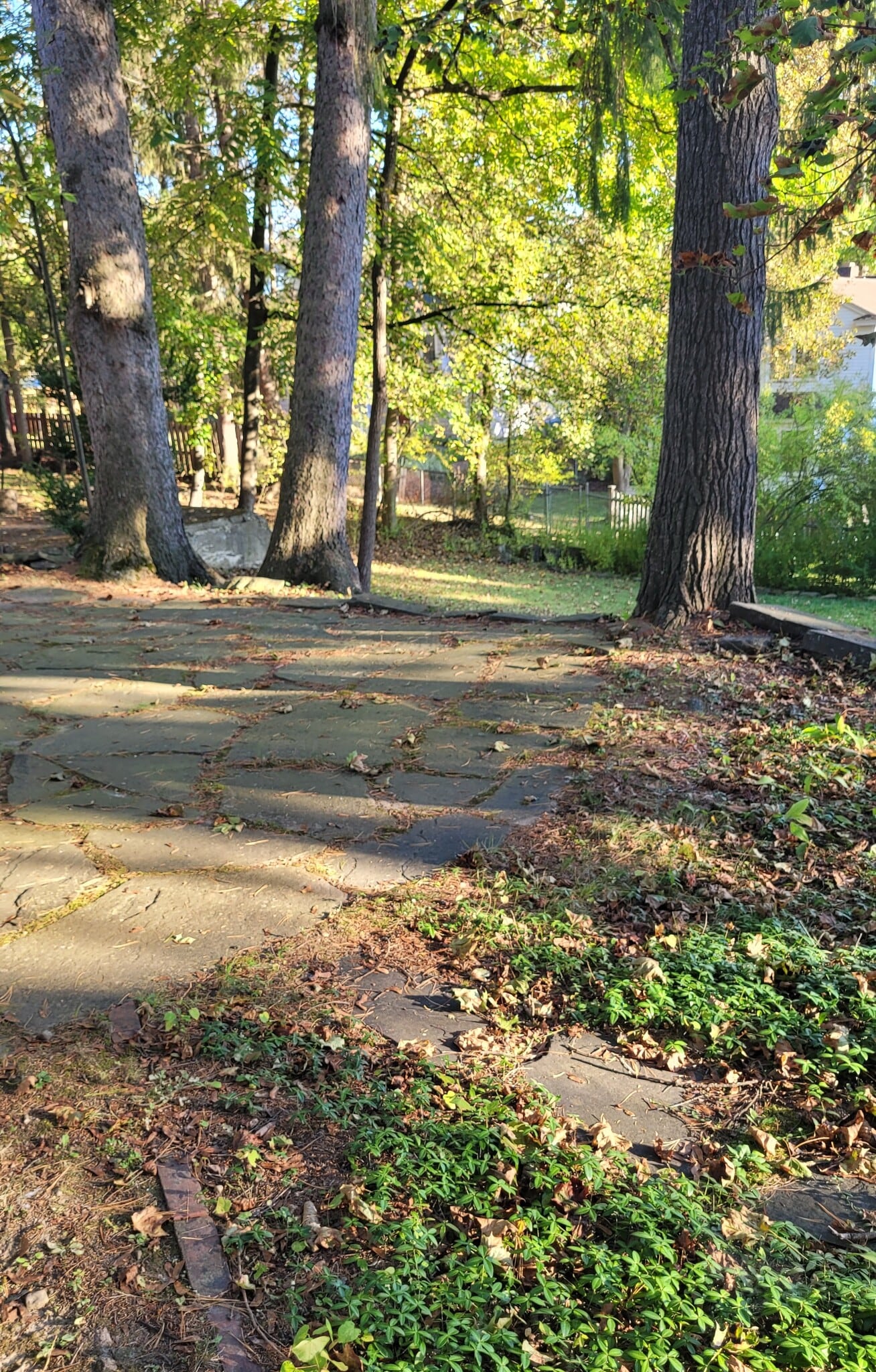 Building Photo - 423 Mitchell St