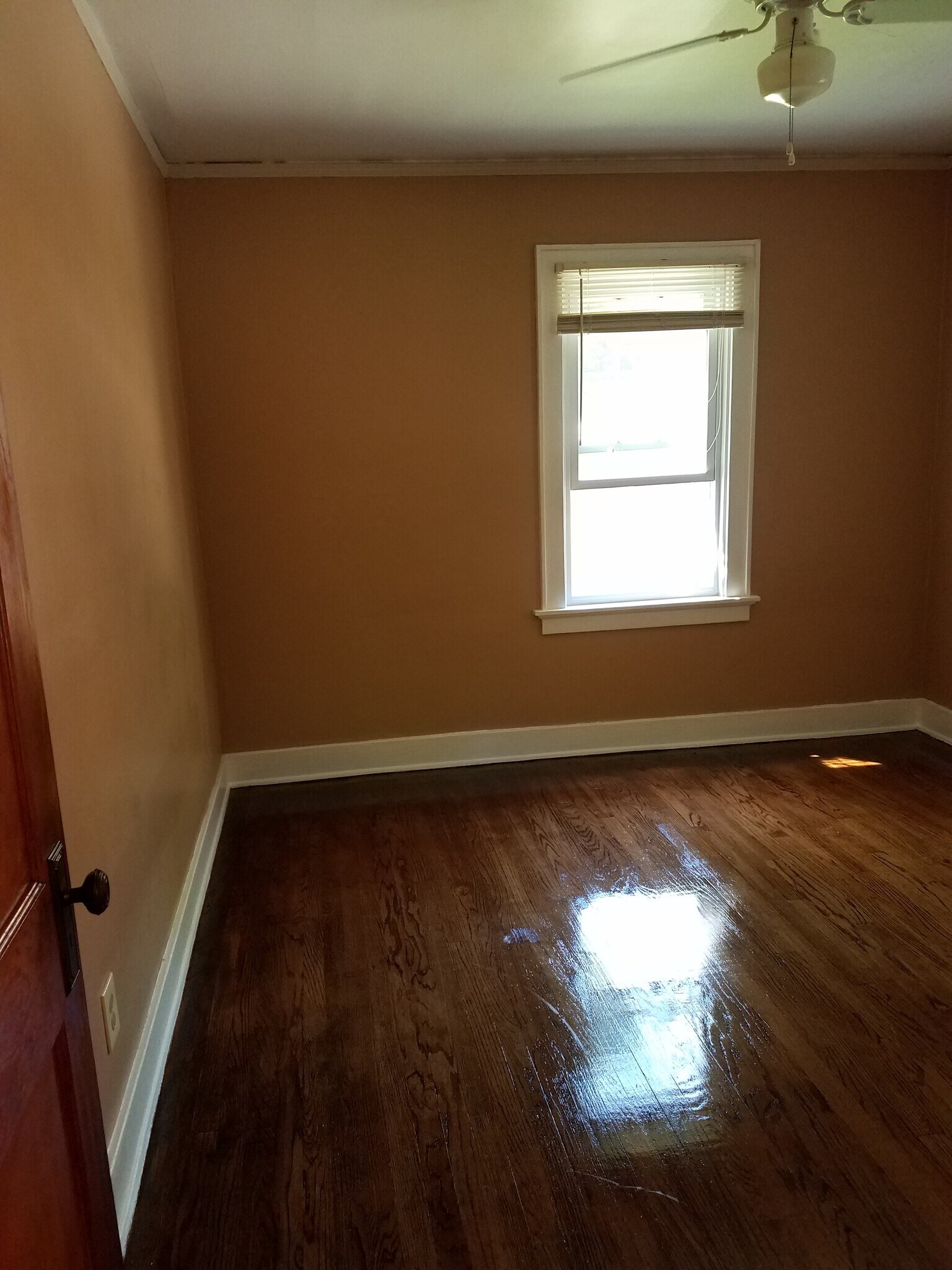 Building Photo - 1255 Elm Lawn St