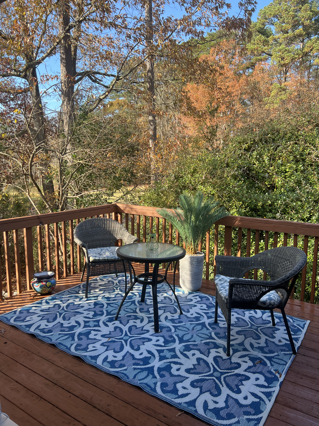 Primary Room Balcony - 2344 Persimmon Ridge Dr