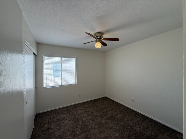 Building Photo - NEW Paint + NEW Carpet + NEW blinds + NEW ...