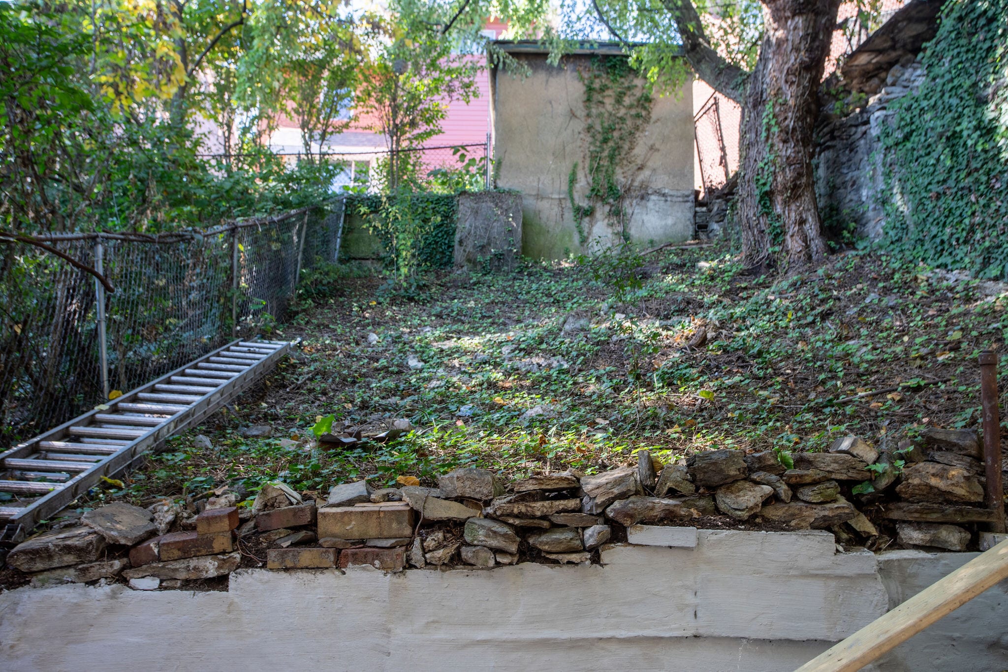 Backyard - 2302 Murray Ave