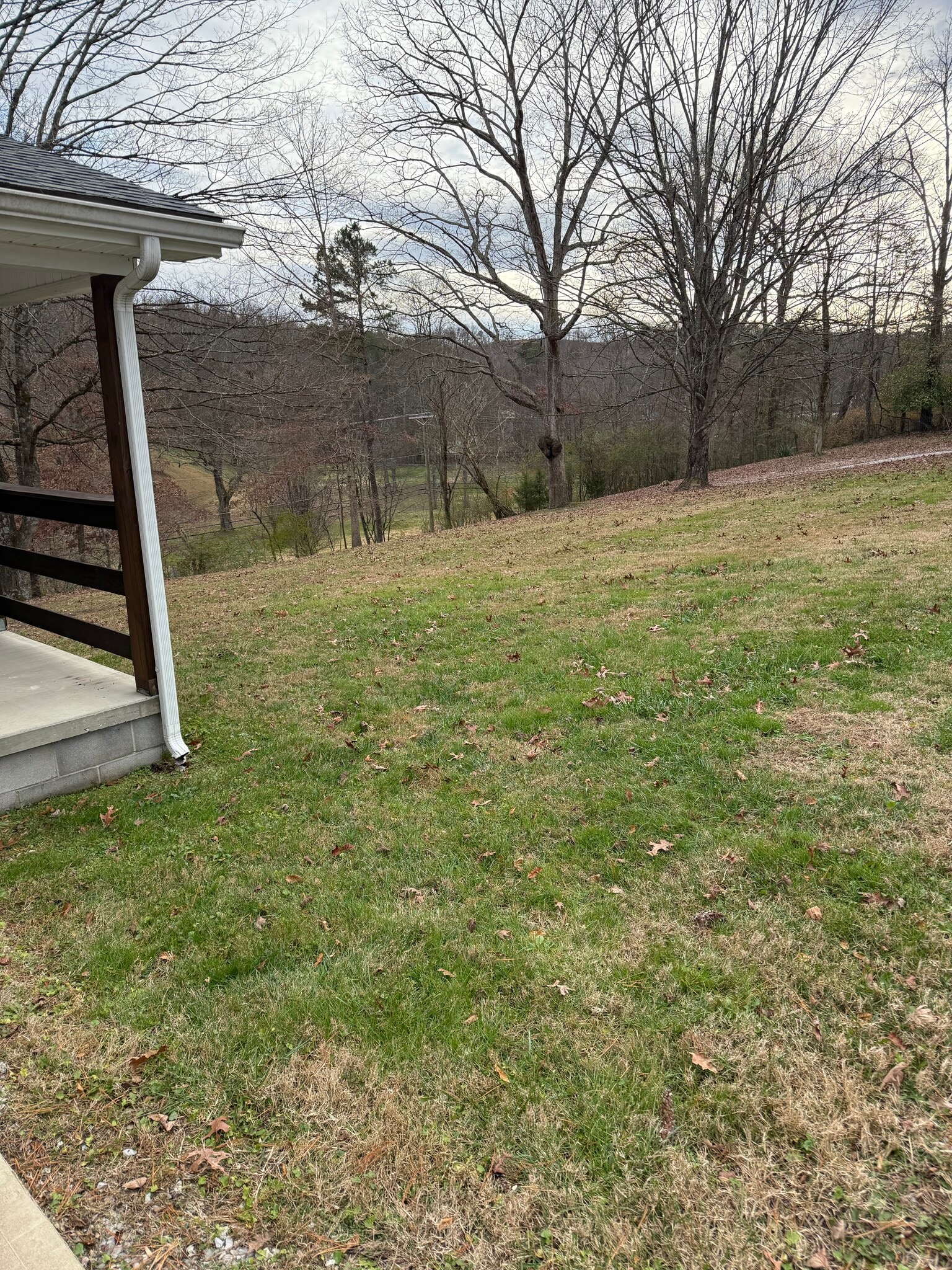 Building Photo - 1109 5th Street Rd