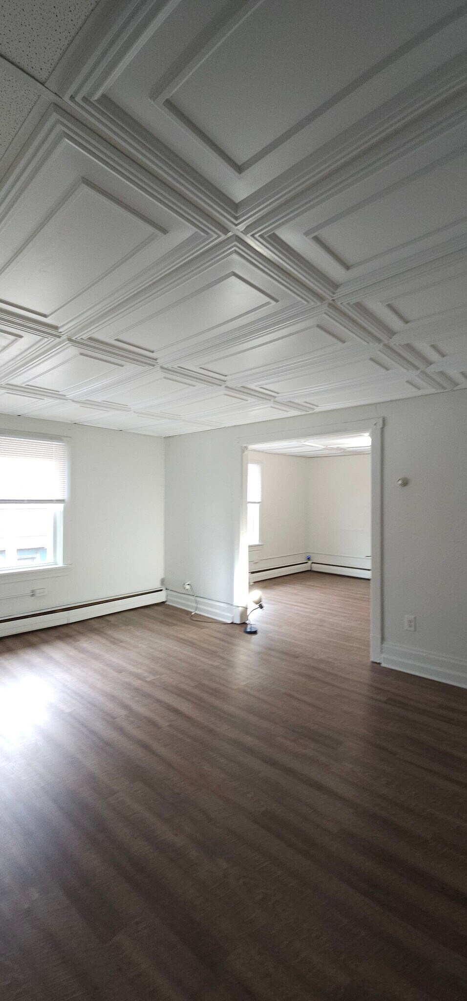 Living room - 2370 Eldridge St