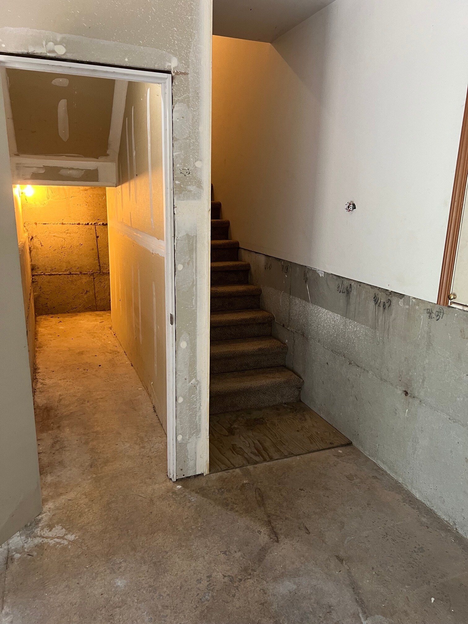 Storage room in garaage - 6223 54th Avenue Ct W