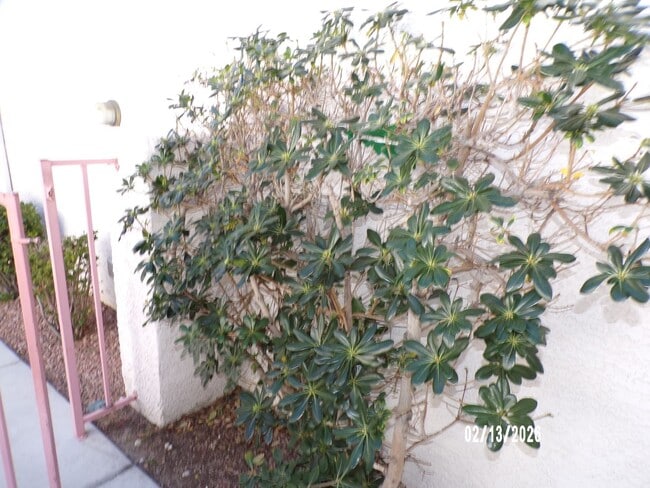 Building Photo - Cute Home