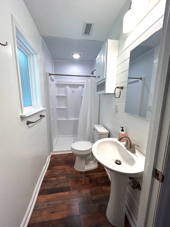 Building Photo - Beautifully Renovated 3BR Home in Summerville