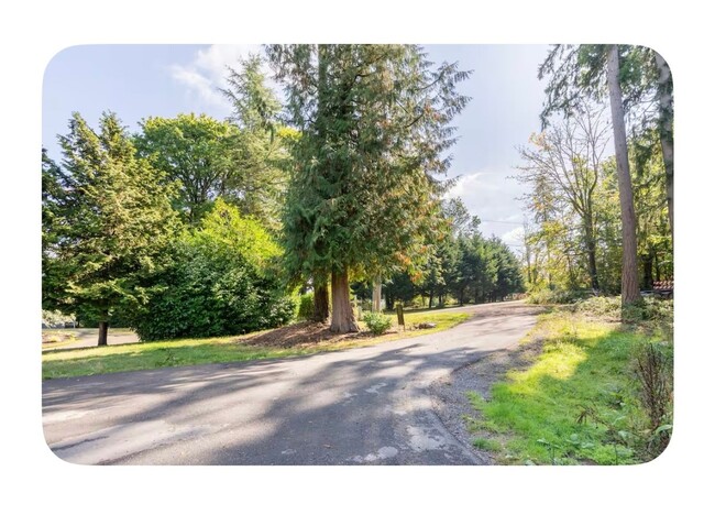 Building Photo - Charming 1BR Condo in Kenmore in forest se...