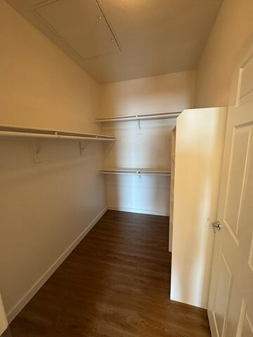 Master Walk In Closet - 8777 West Maule Avenue