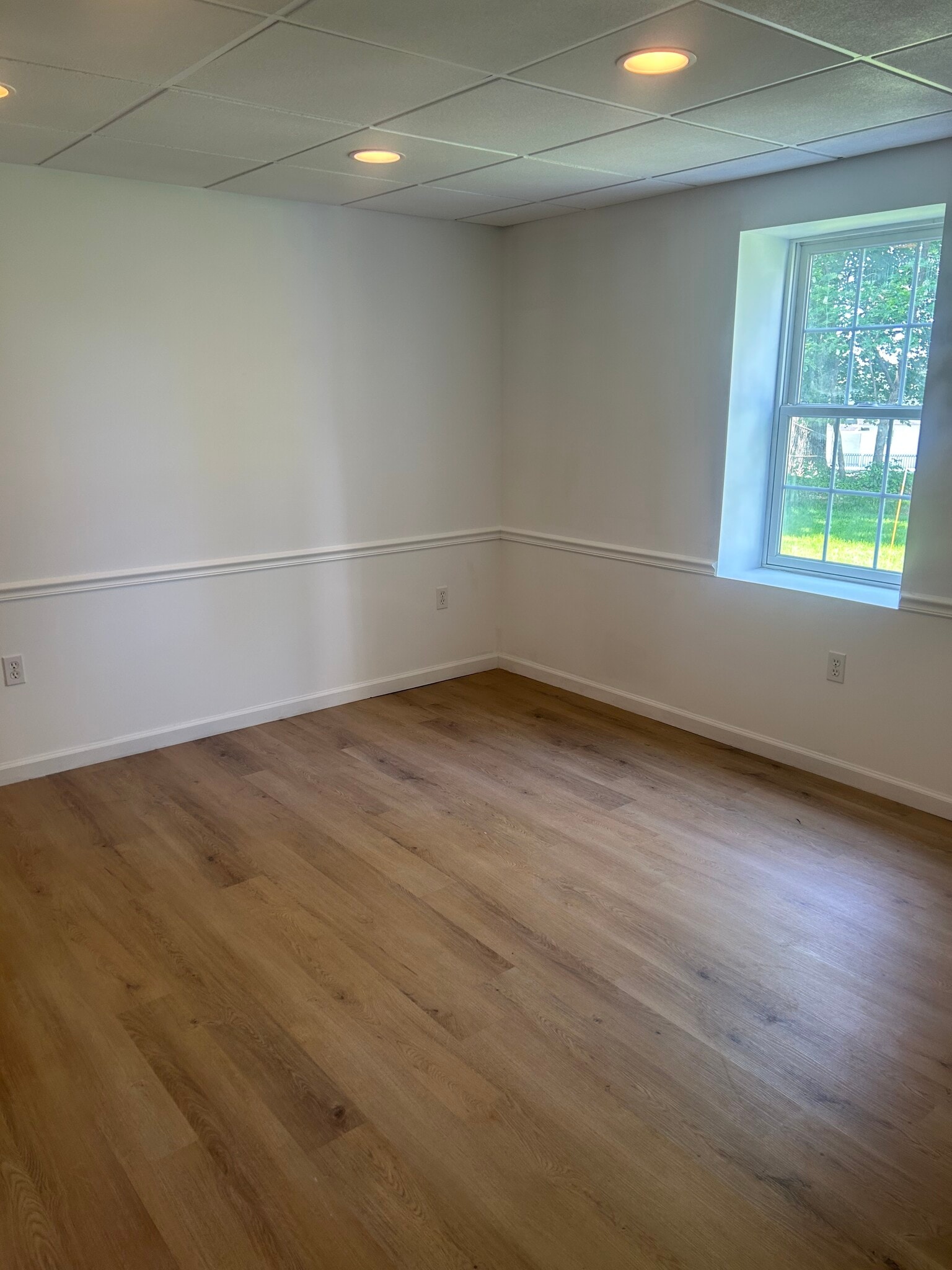 Bedroom 1 - 25 Gracedale Ave